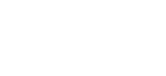 logo-v